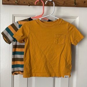 GAP Oraganic Striped Multicolor T-Shirts